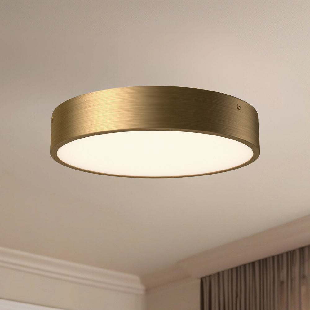 Adelaide LED Flush Mount Ceiling Light in Detail.