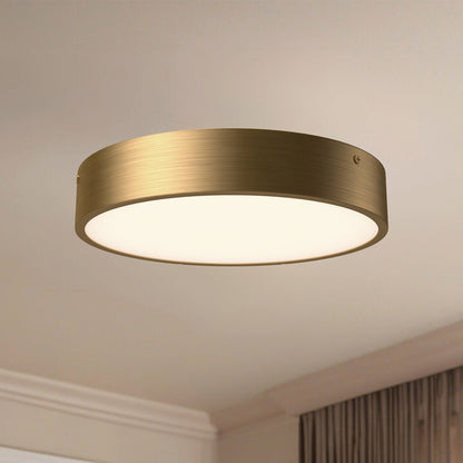 Adelaide LED Flush Mount Ceiling Light in Detail.