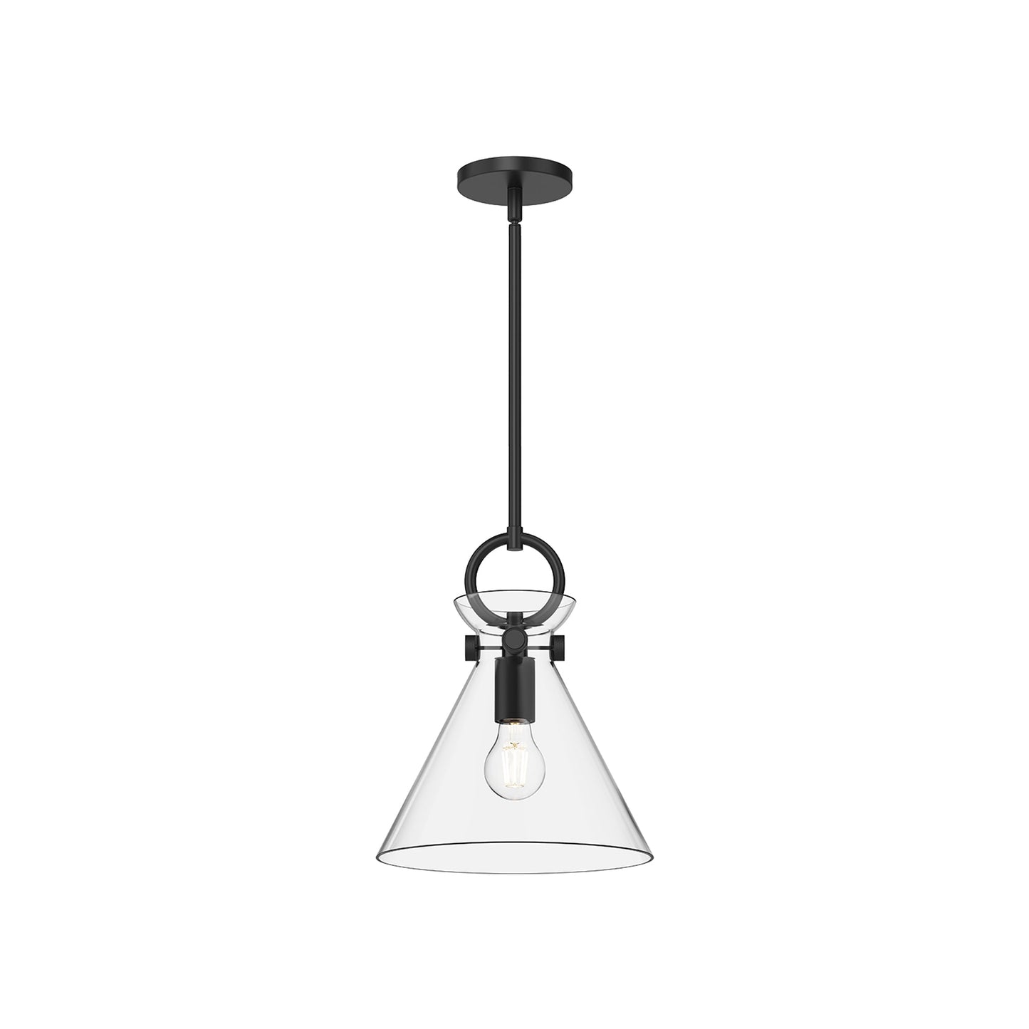 Emerson Pendant Light in Matte Black/Clear Glass (Small).