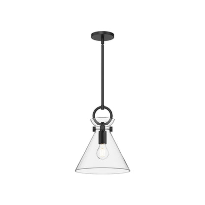 Emerson Pendant Light in Matte Black/Clear Glass (Small).