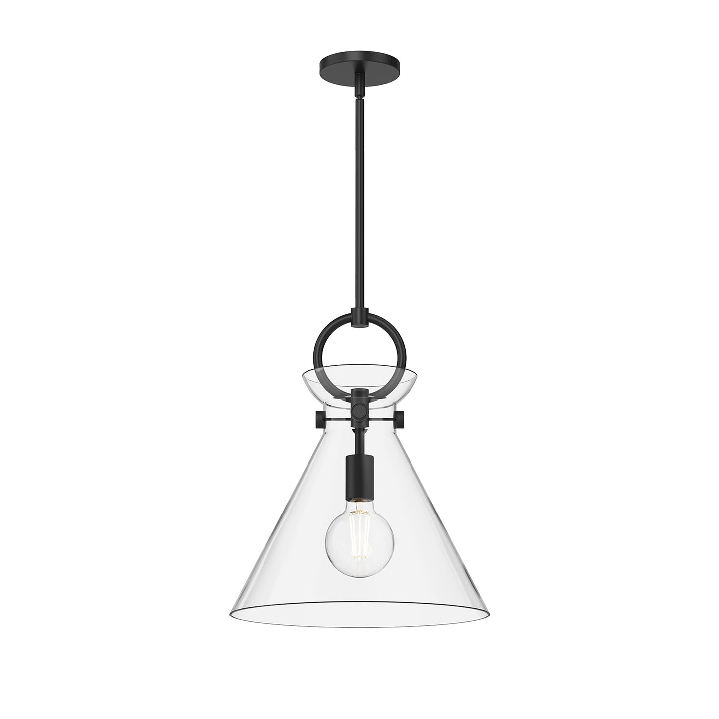 Emerson Pendant Light in Matte Black/Clear Glass (Medium).