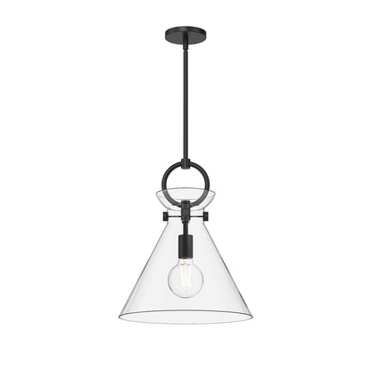 Emerson Pendant Light in Matte Black/Clear Glass (Medium).