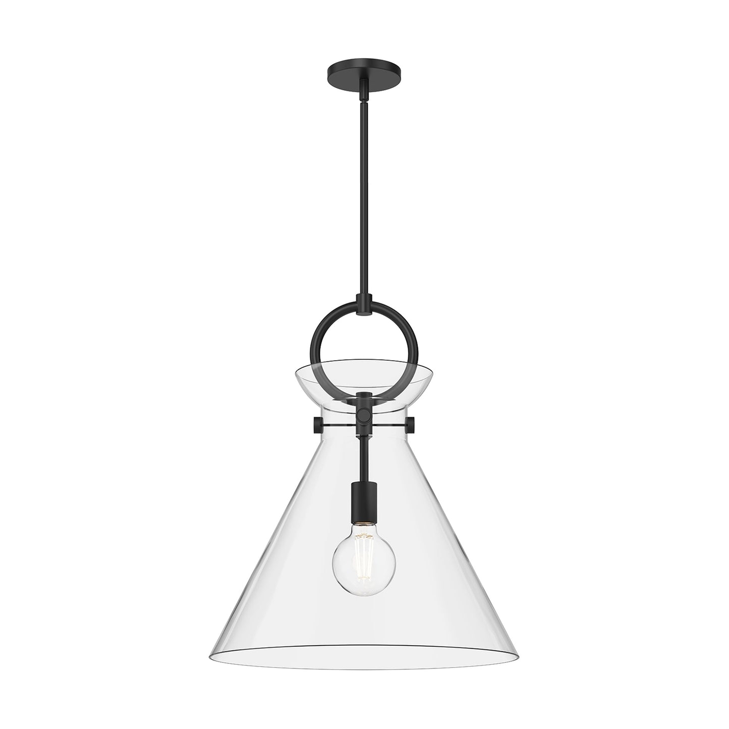 Emerson Pendant Light in Matte Black/Clear Glass (Large).