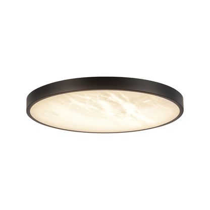 Evelyn LED Flush Mount Ceiling Light in Matte Black (11.88-Inch).