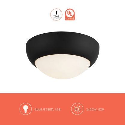 Rubio 2-Light Flush Mount Ceiling Light in Detail.