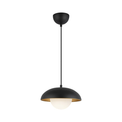 Rubio Pendant Light in Detail.