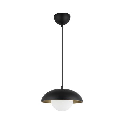 Rubio Pendant Light in Detail.