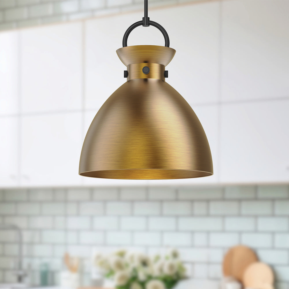 Waldo 4113 Pendant Light in Detail.