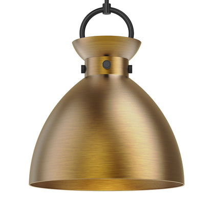 Waldo 4113 Pendant Light in Detail.