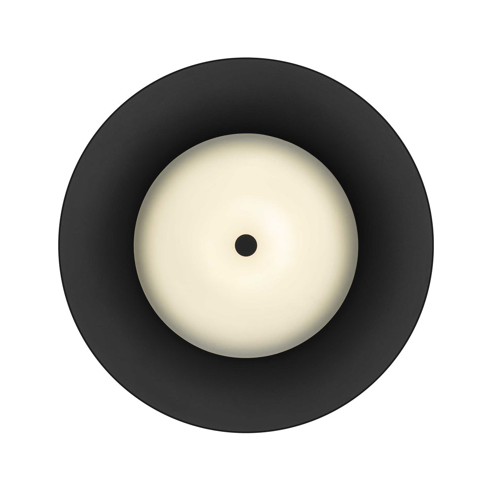 Half Round Outdoor LED Pendant Light in Detail.