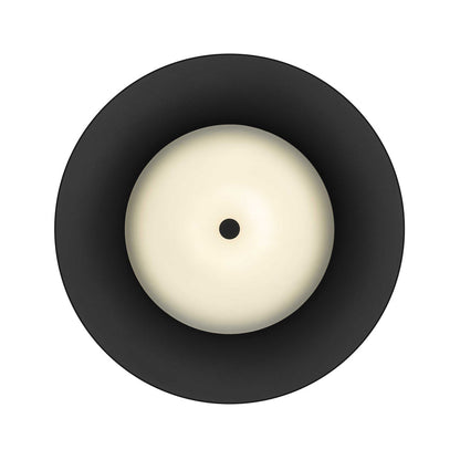 Half Round Outdoor LED Pendant Light in Detail.