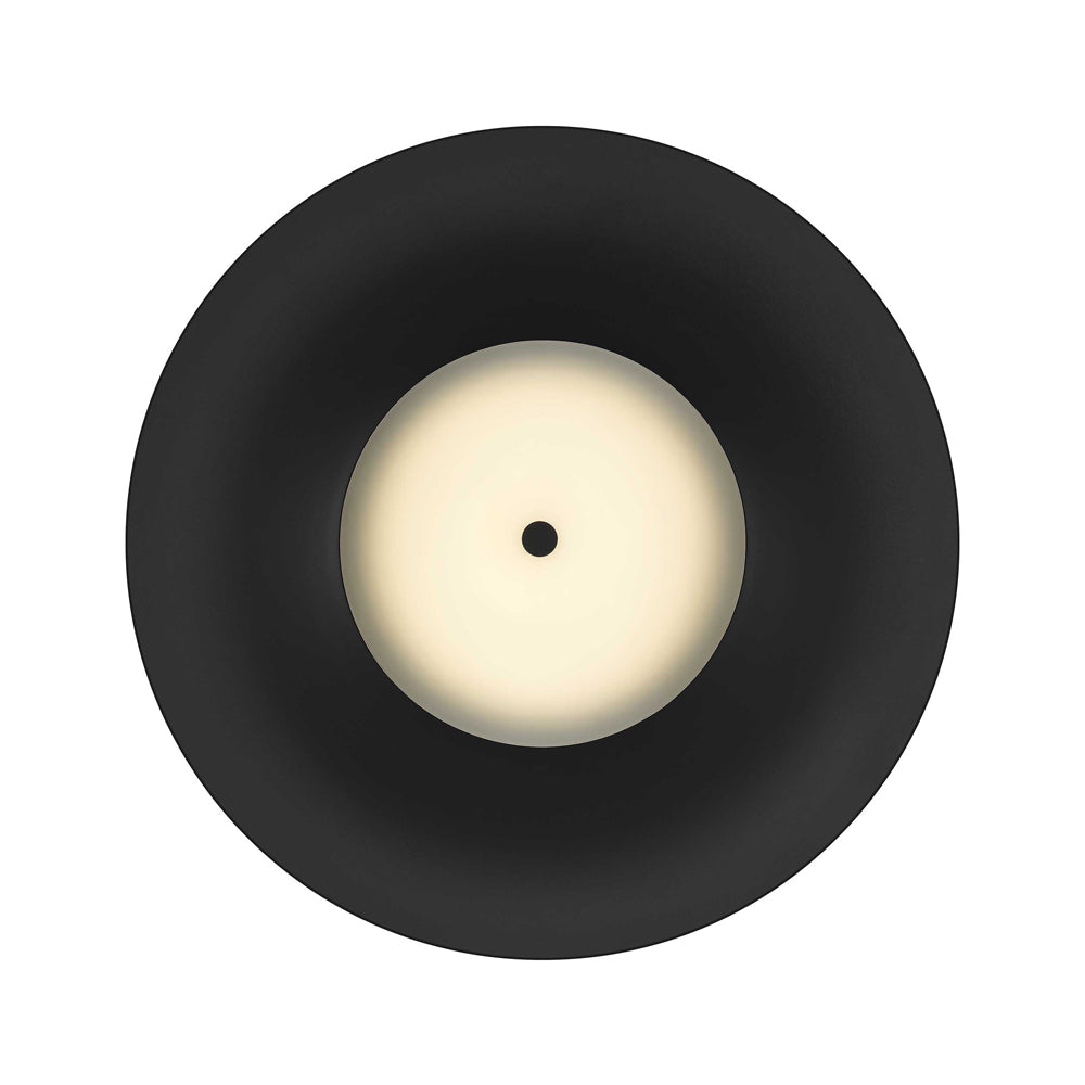 Half Round Outdoor LED Pendant Light in Detail.