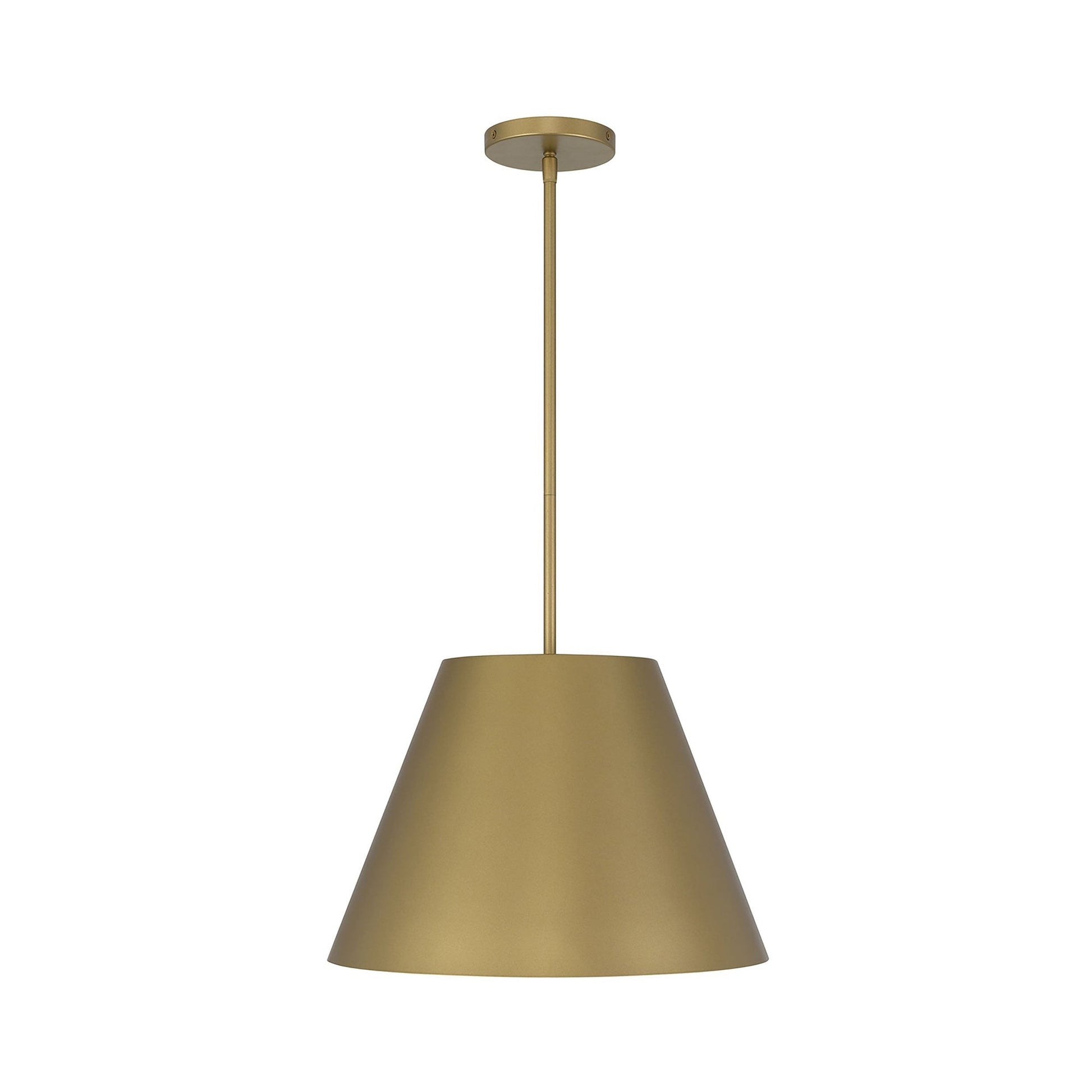 Jaz Outdoor LED Pendant Light in Detail.