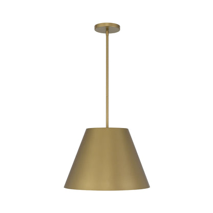 Jaz Outdoor LED Pendant Light in Detail.
