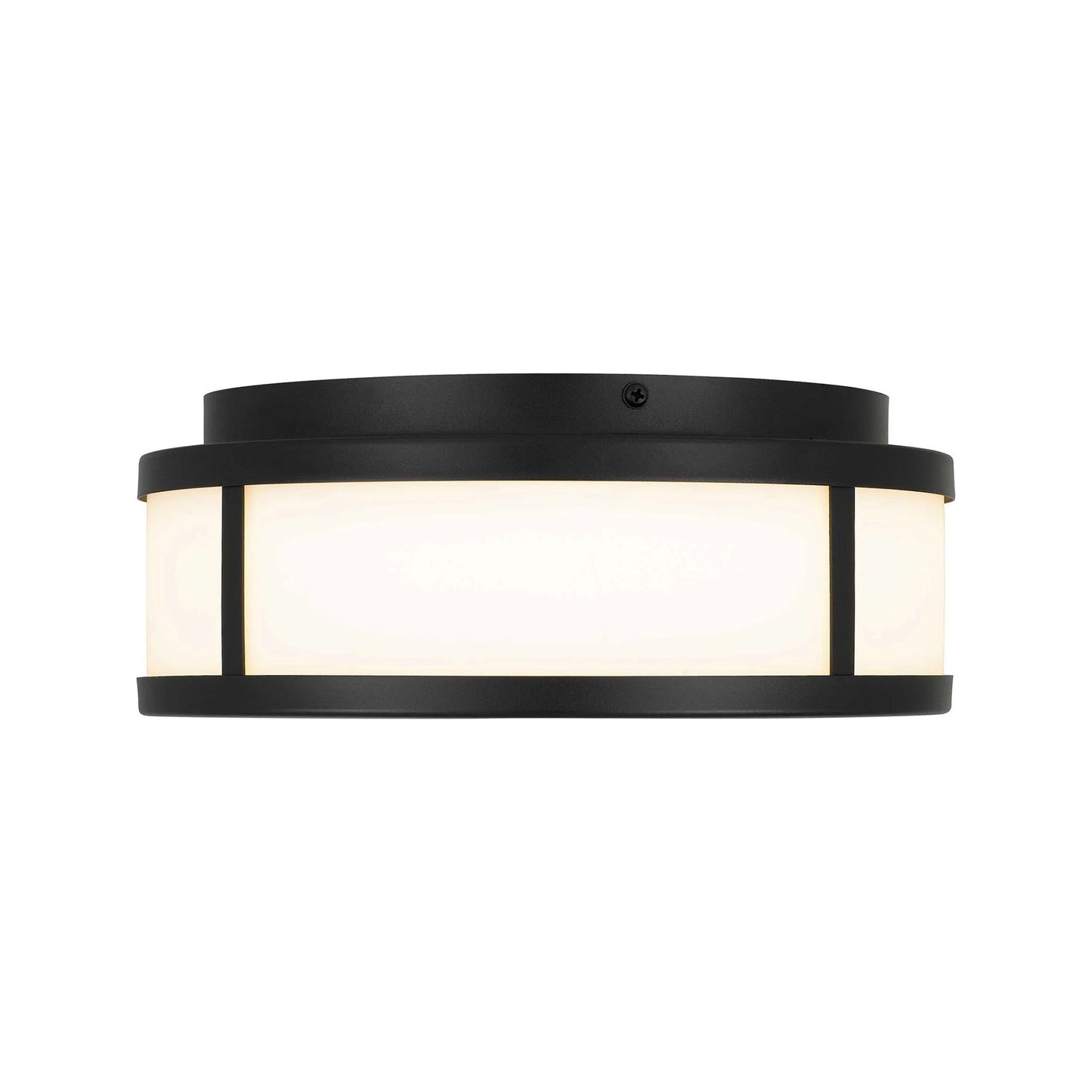 Panel Round Outdoor LED Flush Mount Ceiling Light (10-Inch).