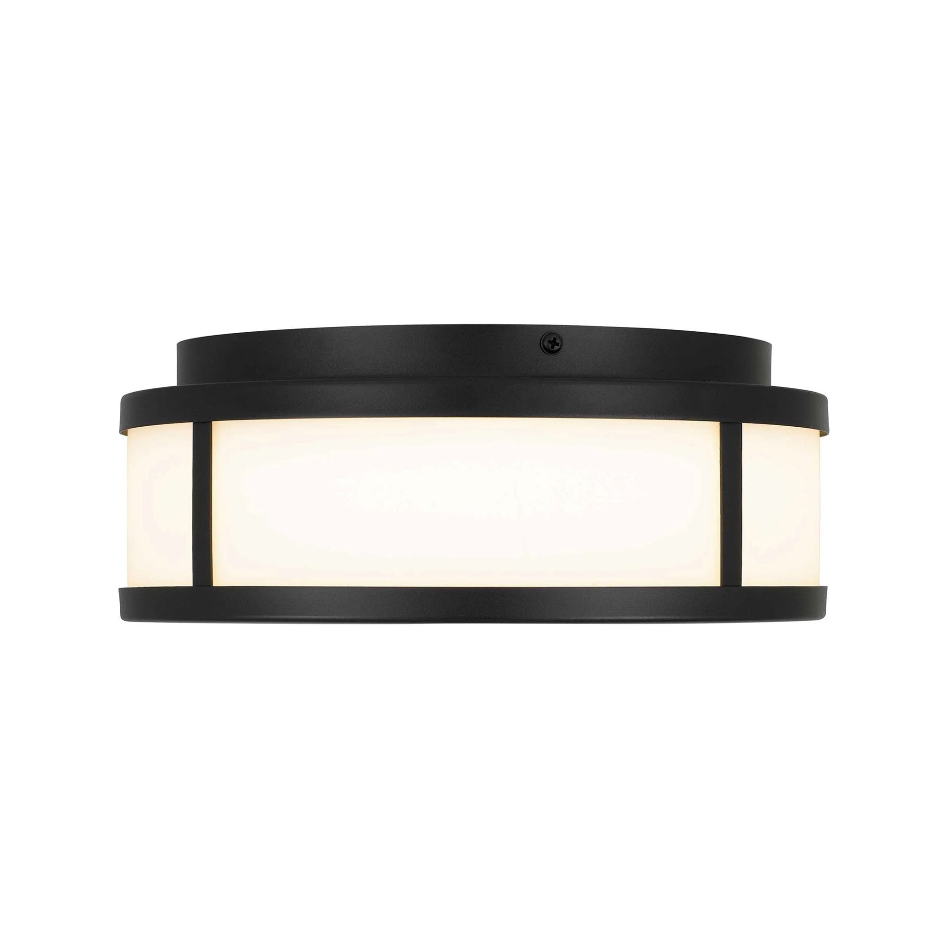 Panel Round Outdoor LED Flush Mount Ceiling Light (10-Inch).