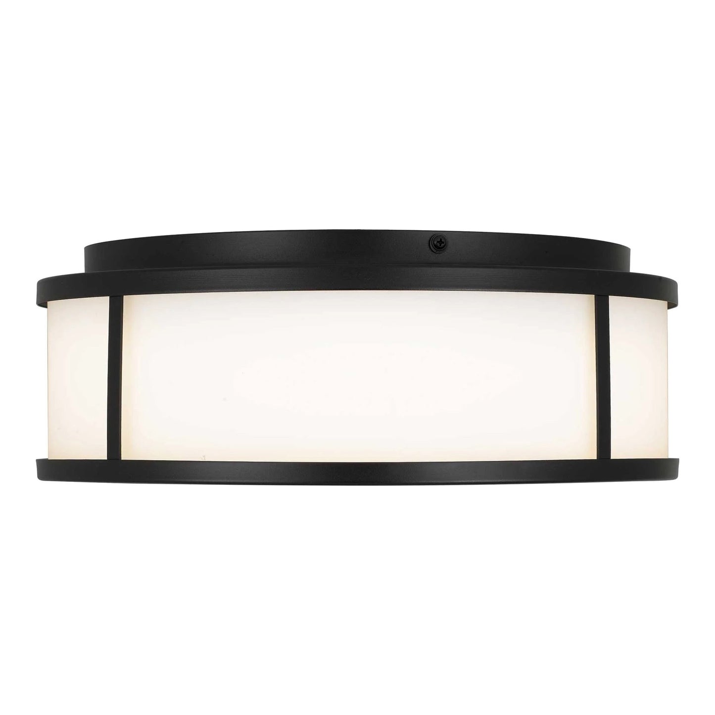 Panel Round Outdoor LED Flush Mount Ceiling Light (14-Inch).