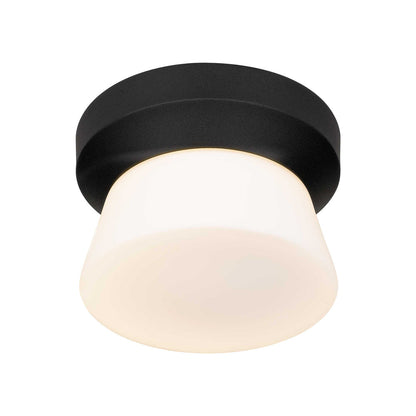 Skirt Outdoor LED Flush Mount Ceiling Light in Detail.