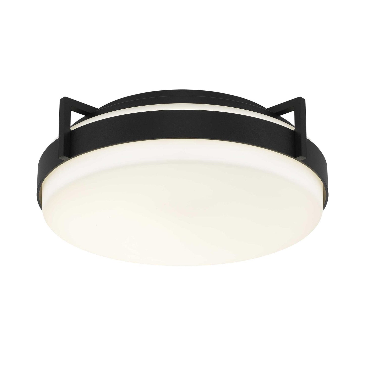 Ted Outdoor LED Flush Mount Ceiling Light in Detail.