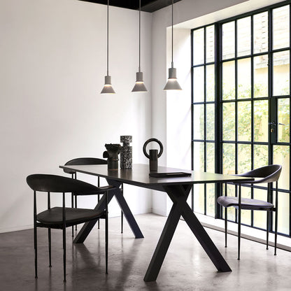 Type 80 Pendant Light in dining room.