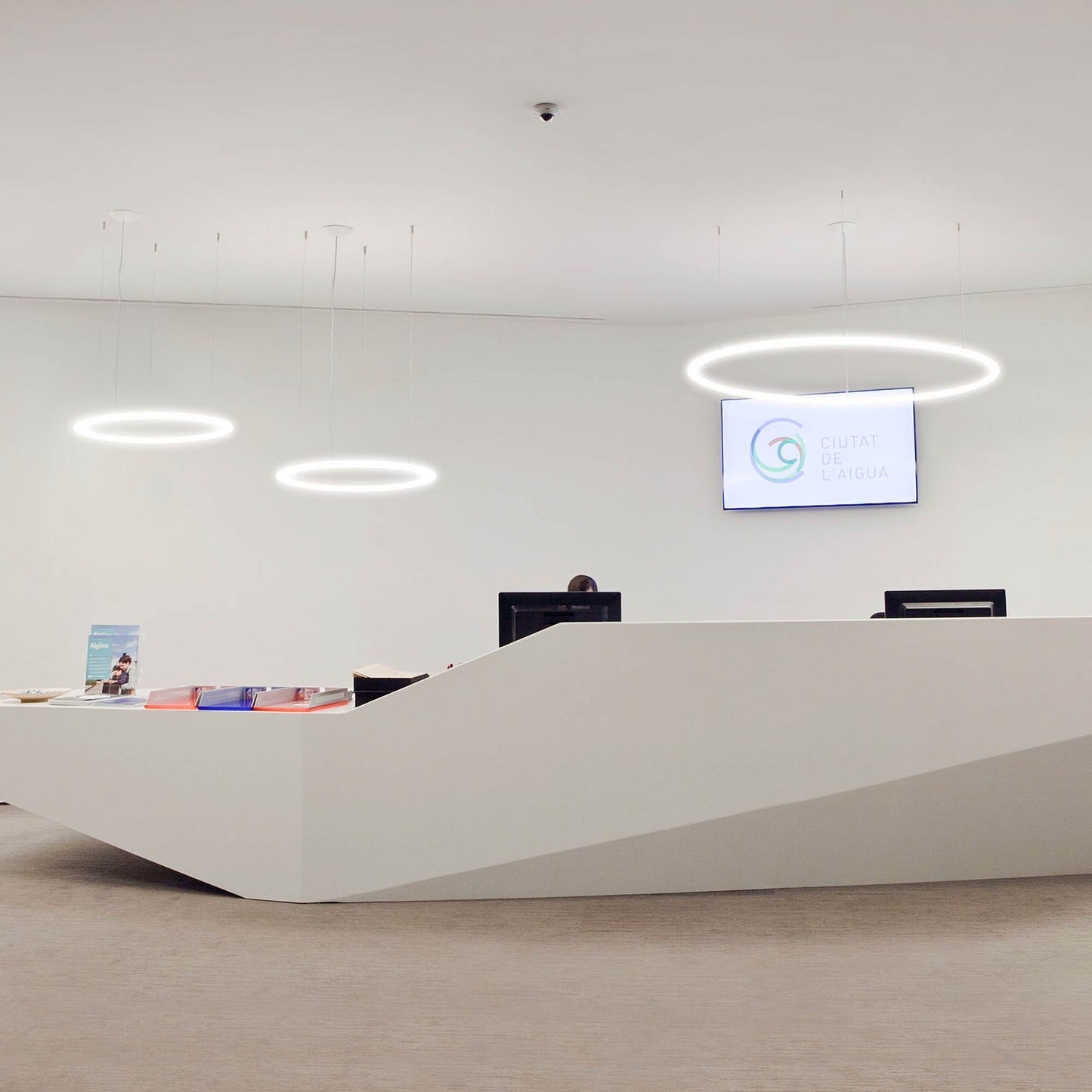 Alphabet of Light LED Circular Suspension Light in office.