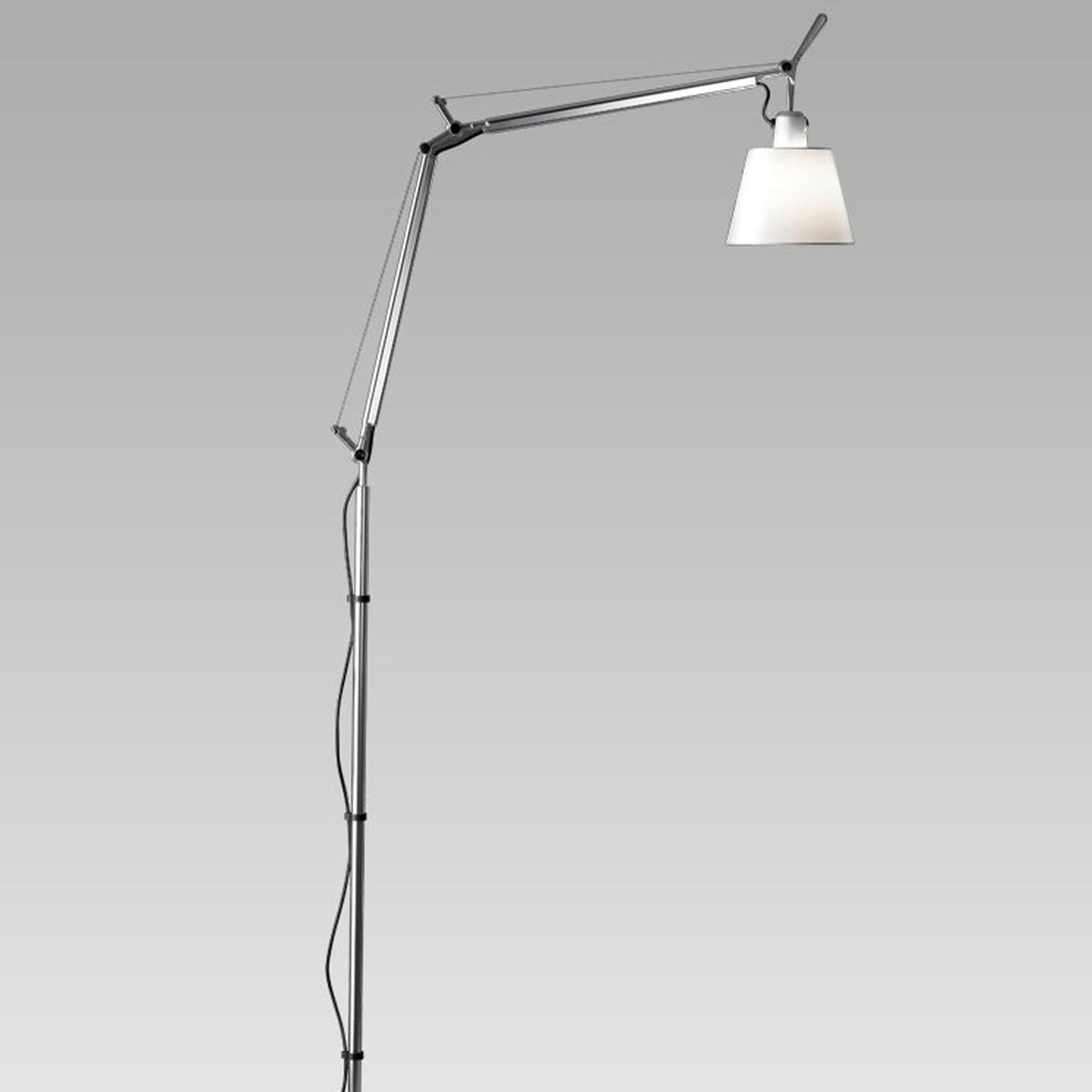 Tolomeo Floor Lamp in Detail.