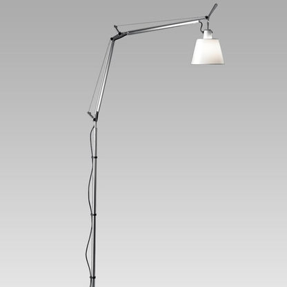 Tolomeo Floor Lamp in Detail.