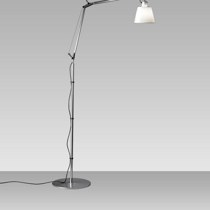 Tolomeo Floor Lamp in Detail.