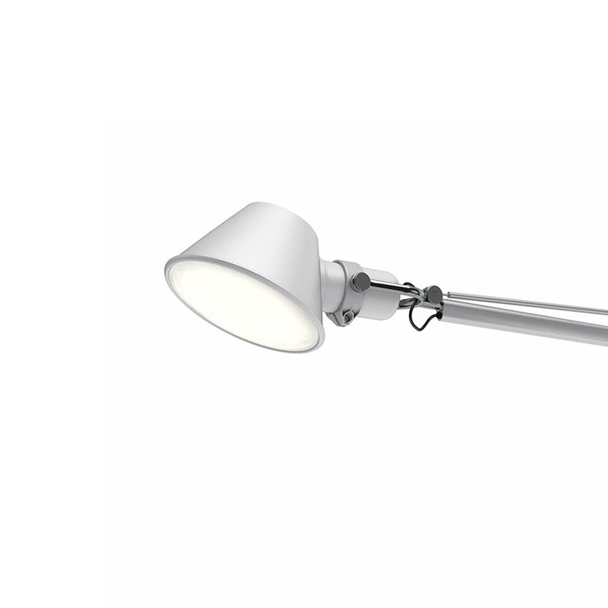 Tolomeo XXL LED Floor Lamp in Detail.