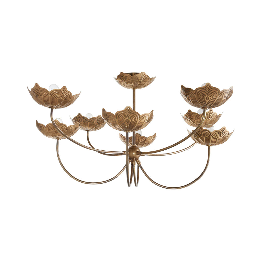 Encinitas Chandelier in Detail.