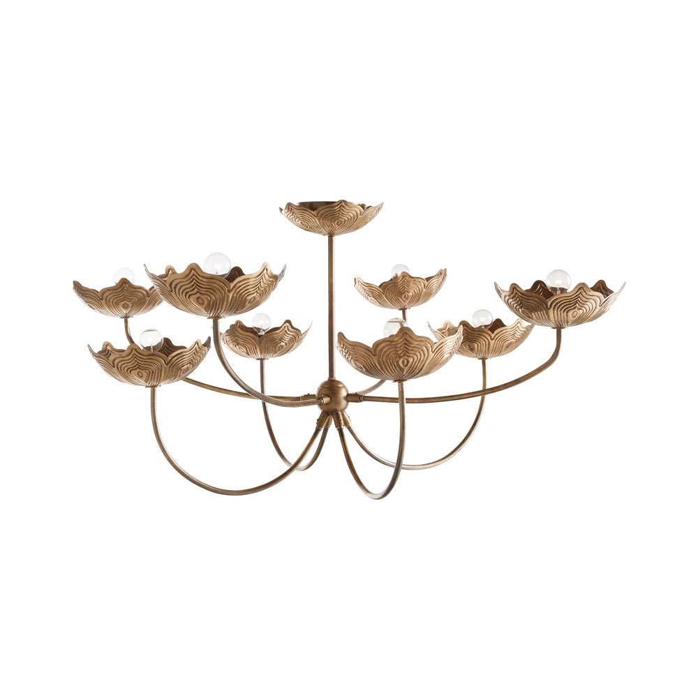 Encinitas Chandelier in Detail.