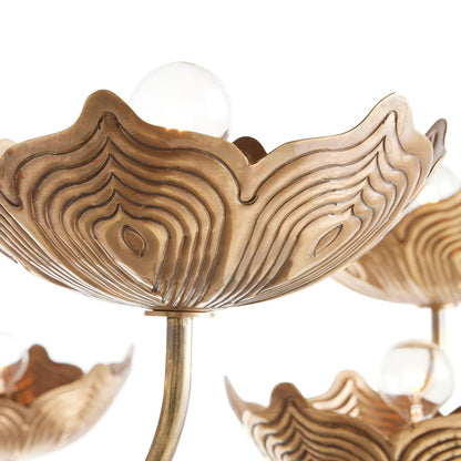 Encinitas Chandelier in Detail.