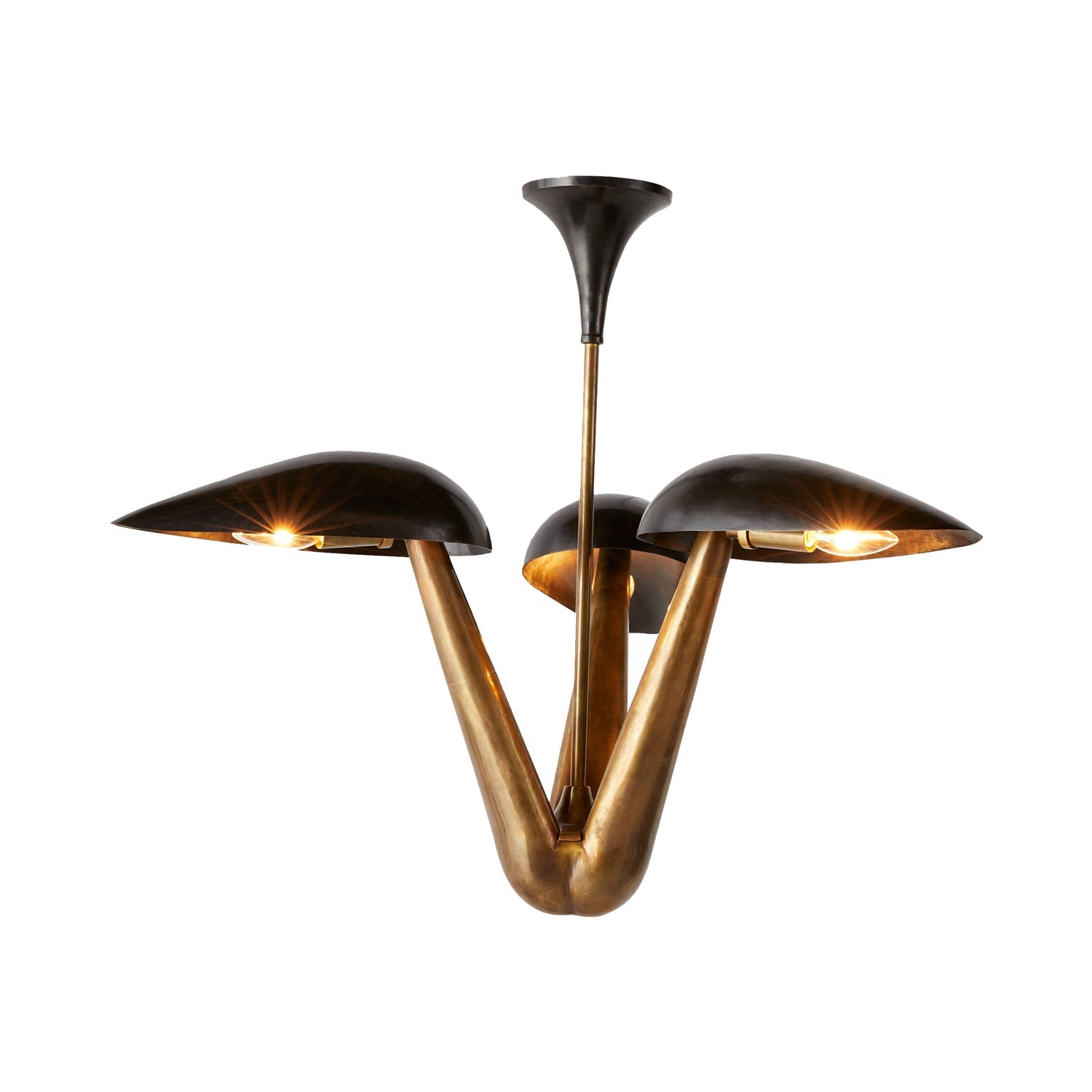 Everglades Chandelier.