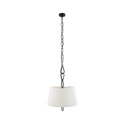 Parkman Pendant Light in Detail.