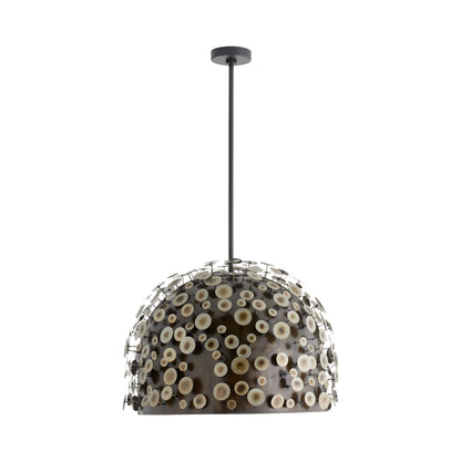 Rizzo Pendant Light.