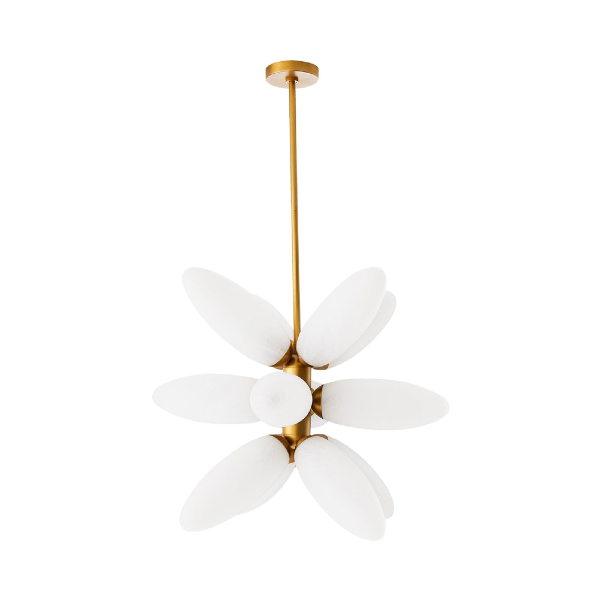 Starling Chandelier in Detail.