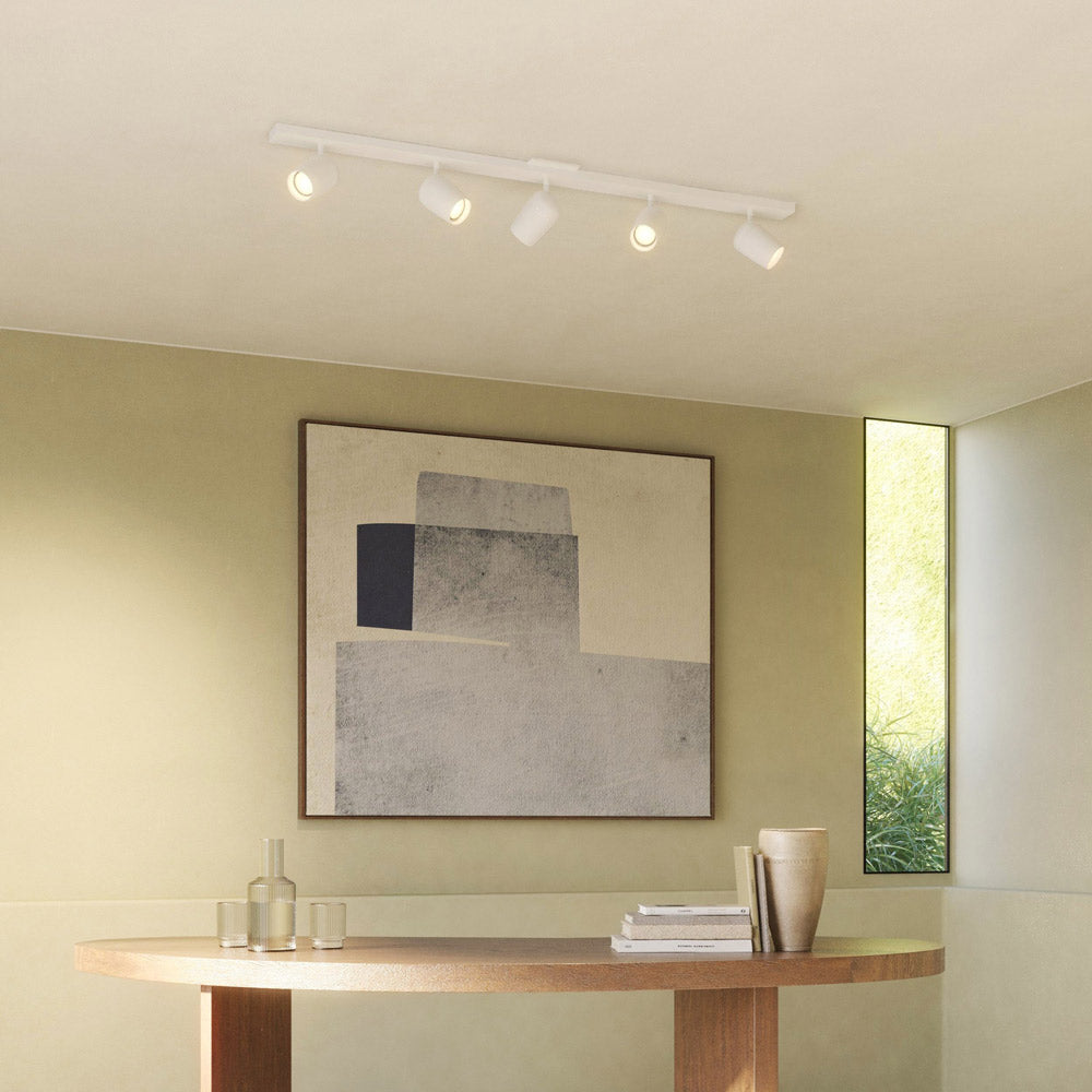 Koto Spot Light – City Lights SF