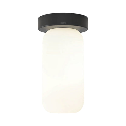 Tacoma Reed Ceiling / Wall Light in Matt Black (White Opal Glass).