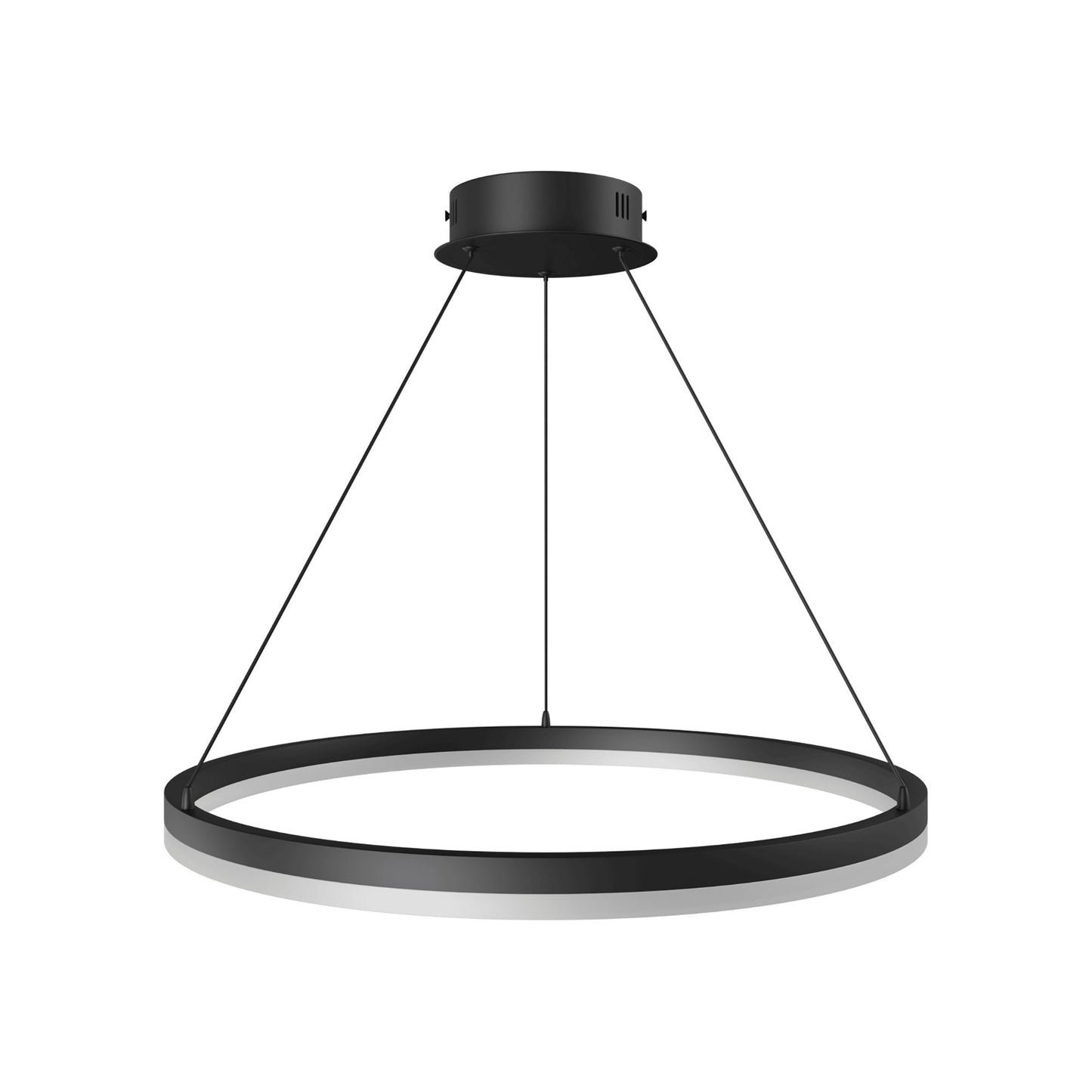 Circa Ring LED Pendant Light in Black (24-Inch).