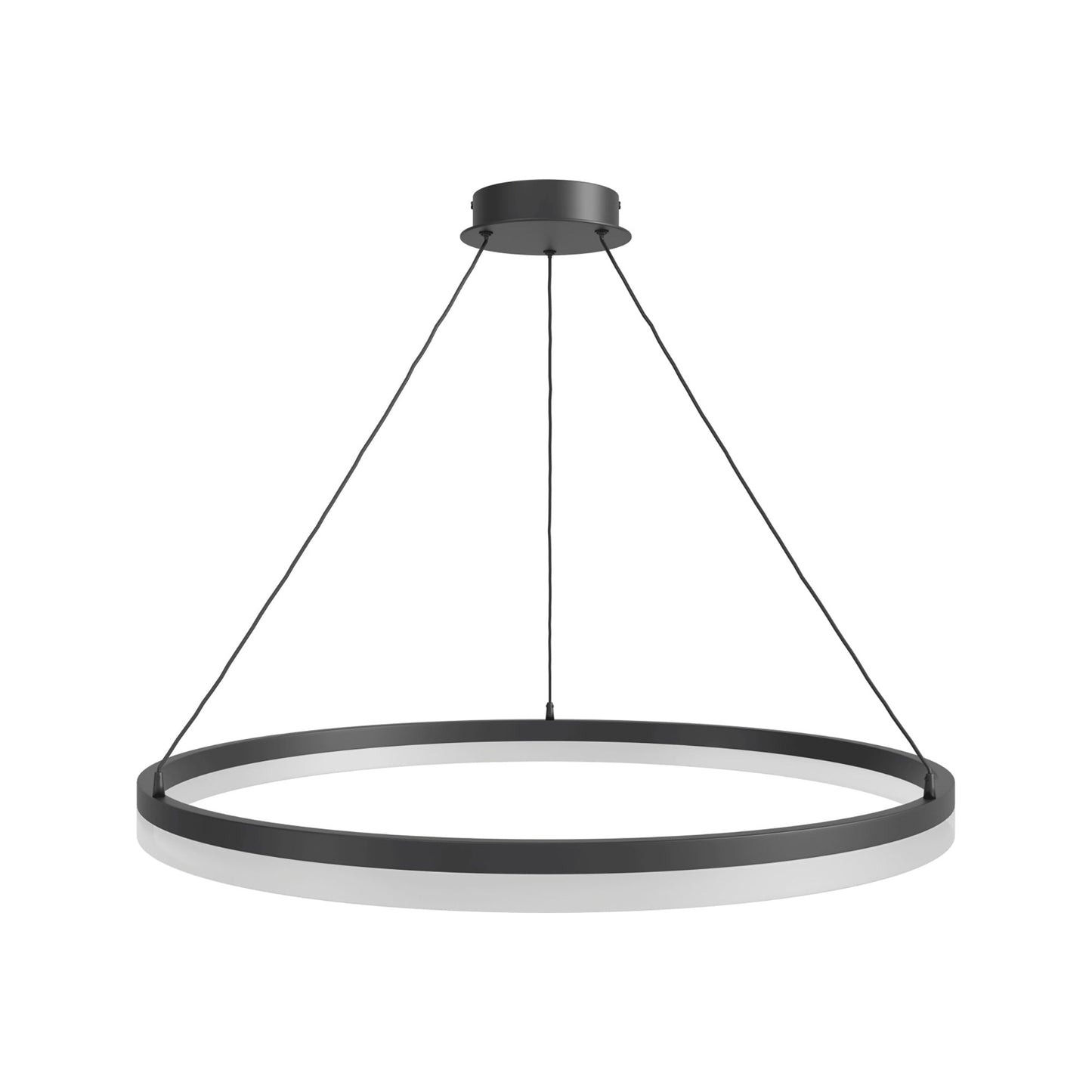 Circa Ring LED Pendant Light in Black (31-Inch).
