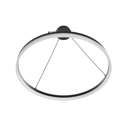 Circa Ring LED Pendant Light in Detail.