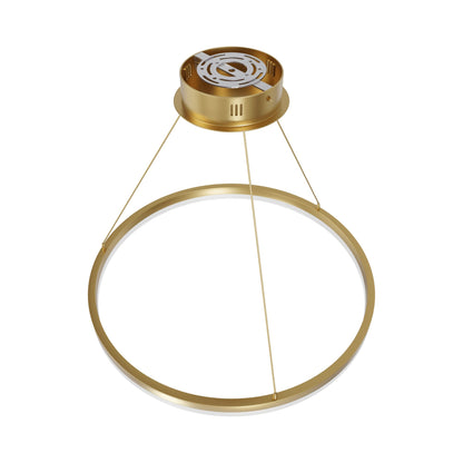 Circa Ring LED Pendant Light in Detail.