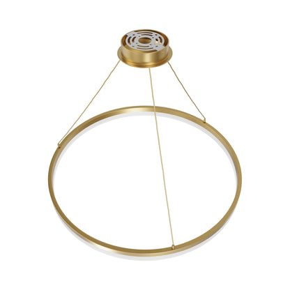 Circa Ring LED Pendant Light in Detail.