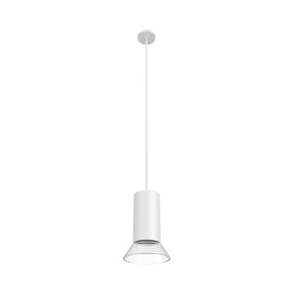 Newport HF1950 Pendant Light in Detail.
