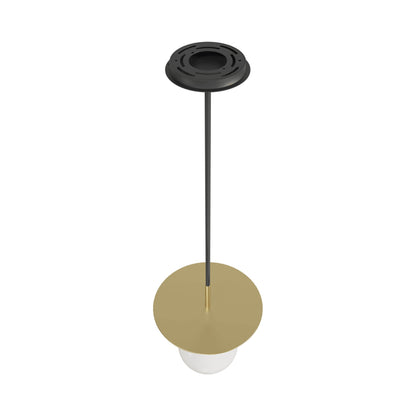 Newport HF1951 Pendant Light in Detail.