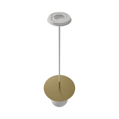 Newport HF1951 Pendant Light in Detail.