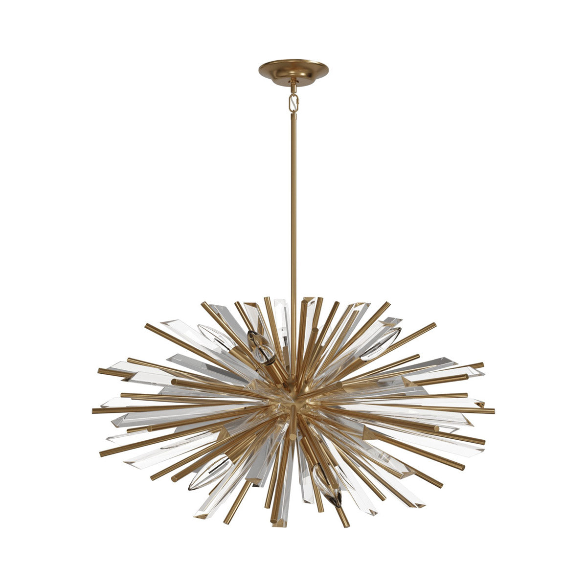 Palisades Avenue Pendant Light in Aged Brass (10-Light).