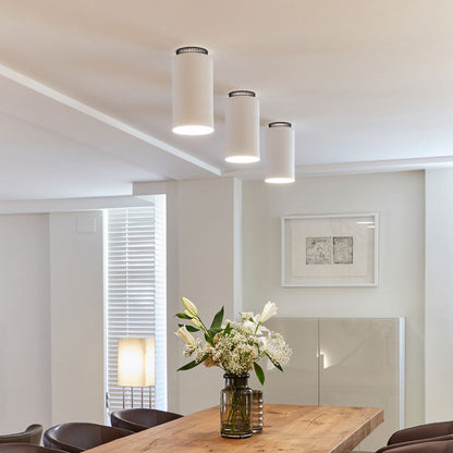 Aspen C17B Semi Flush Mount Ceiling Light in dining room.