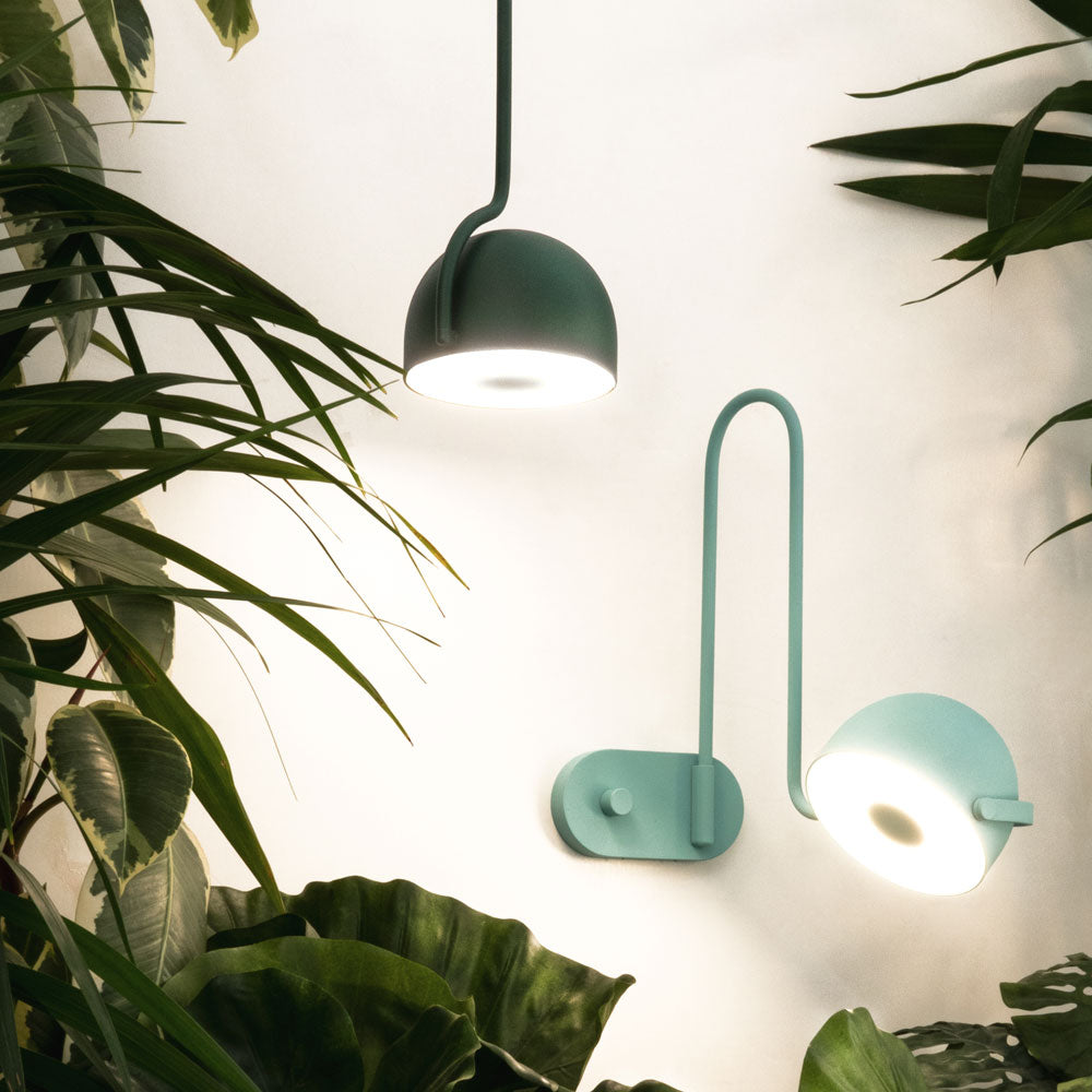 Bowee LED Adjustable Wall Light in living room.