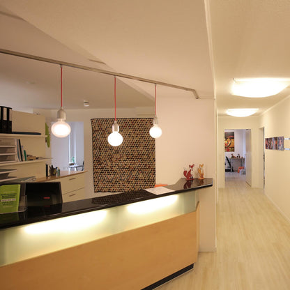 Ilde S1 Pendant Light in office.